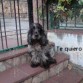 Te quiiero mi perrita!!! <3